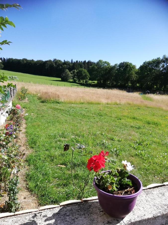 Gite Les Chaumeix Prondines Esterno foto