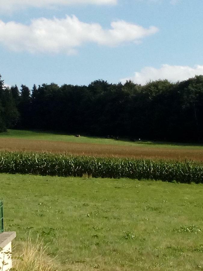 Gite Les Chaumeix Prondines Esterno foto