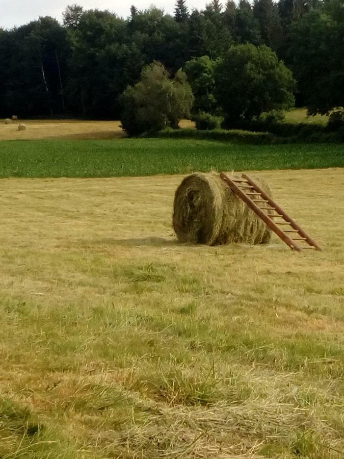 Gite Les Chaumeix Prondines Esterno foto