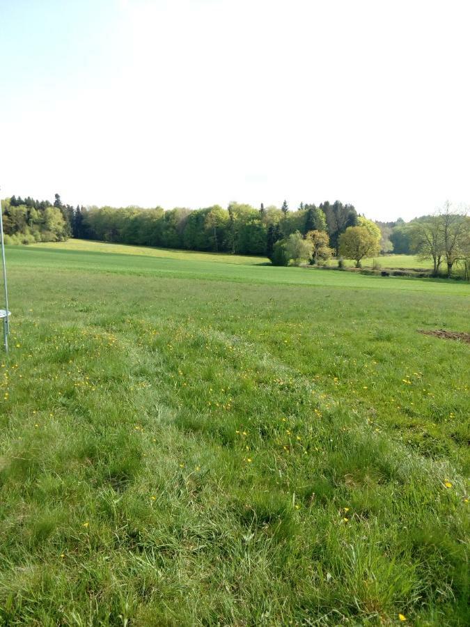 Gite Les Chaumeix Prondines Esterno foto